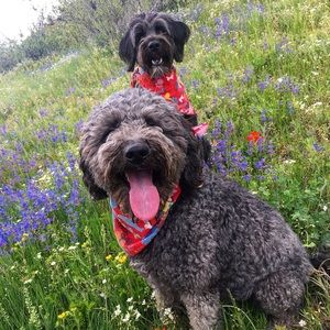 Meet your Posher, Vanessa